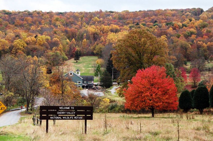 A large wooden sign welcomes visitors to Cherry Valley National Wildlife Refuge. A tree with bright red leaves stands in an open field to the right. A forest of fall colors dominates the background.