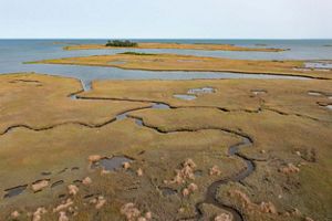 Aerial view of saltwater marsh. 