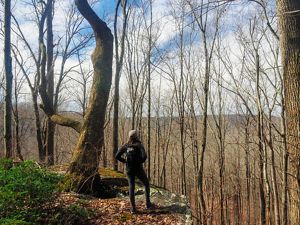 A hiker looks out on a valley through leafless trees.