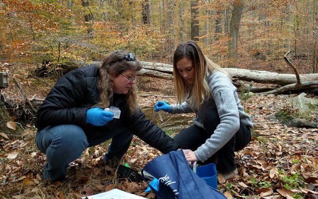 Two women crouch next to each other in a forest taking samples from water collected in a small blue basin.