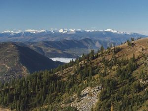 Forested mountain landscape with fog in the valley bottom.