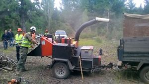 hombres trabajando con una maquina en el bosque.