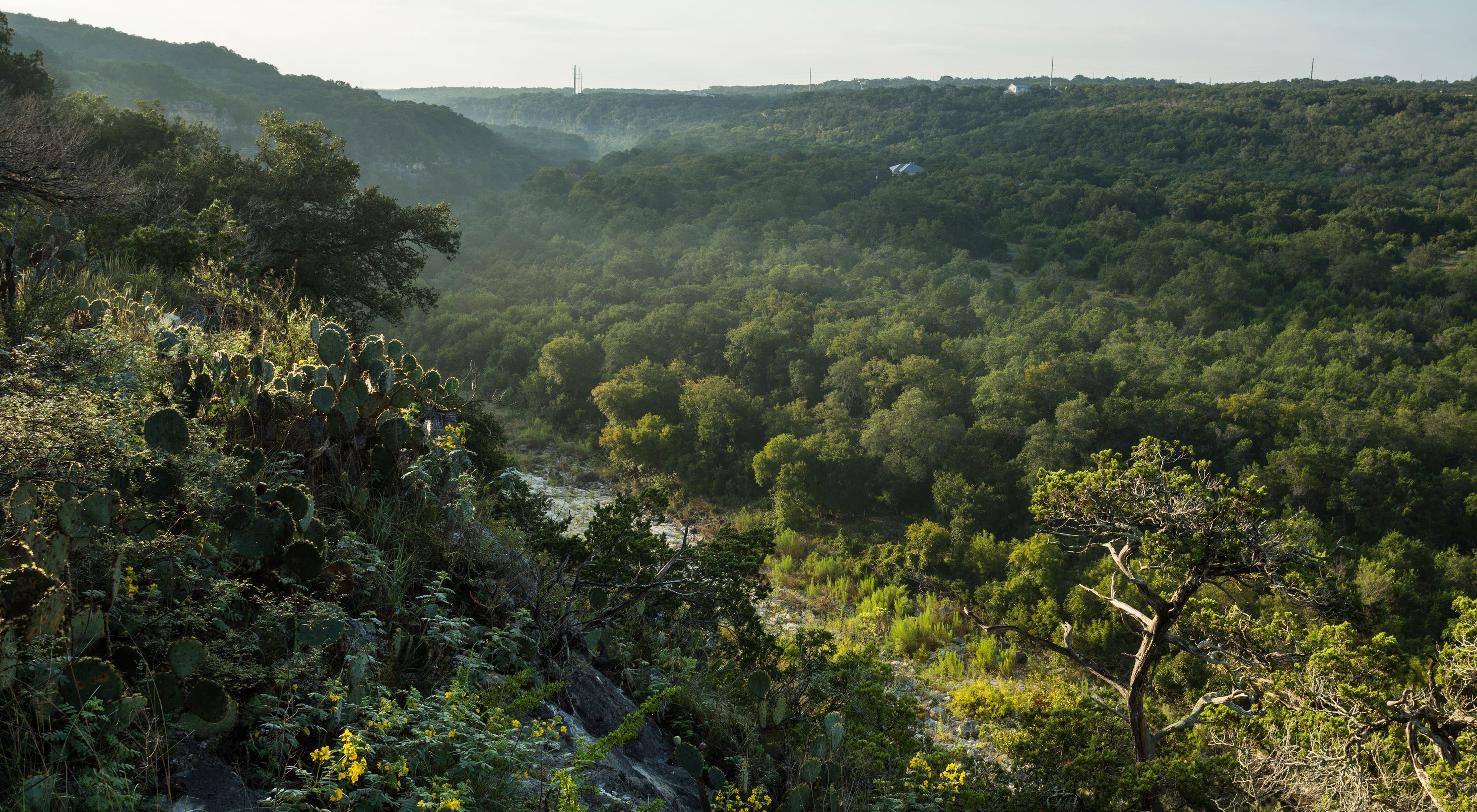 Cibolo Creek gently flows between the rolling, green vistas of the Texas Hill Country, dotted by cactus and shrubs.