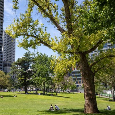 is developing a plan to ensure that future development brings with it more parks and nature.