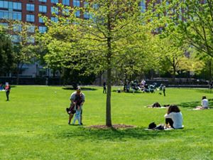 A sunny day in Hudson River Park