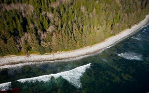 aerial view of waves crashing on a beach near a forest.