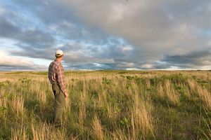 Man stands in tallgrass looking at the horizon