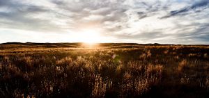 Sun rises in the horizon over a tallgrass prairie