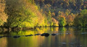 Clinch River with fall foliage. 