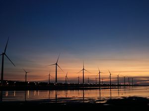 Wind turbines on a shoreline at dawn. 