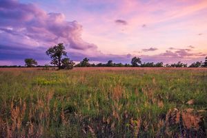 Sweeping brown and green prairie pops against a cloudy purple sunset.