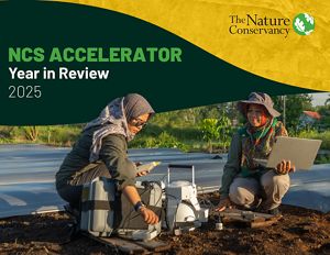 TNC scientists set up LiDAR technology to measure the impact of peat rewetting on net carbon emissions in West Kalimantan, Indonesia.