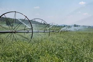 Green fields and sprinklers.