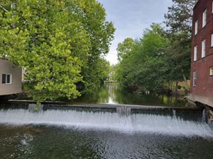 Water flows over the Upper E.R. Collins dam, with buildings and green trees on either side. 