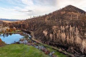Bare, black and brown earth and dead, burned trees on a hillside sloping down to pools of water.