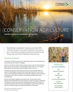 The cover of the Conservation Agriculture report featuring a view of a wetland at sunset.
