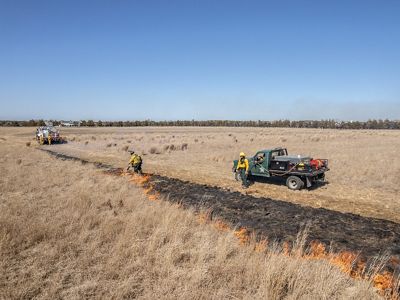 Aerial shot of a prescribed burn crew starting a line of fire through the sandplain grassland, with trucks stationed for support.