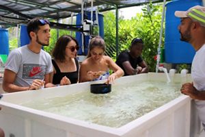 Four people stand next to a coral tank as they listen to another person.