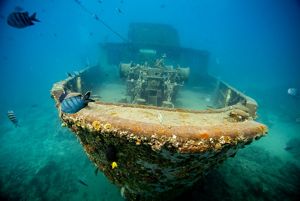 a large shipwreck surrounded by fish
