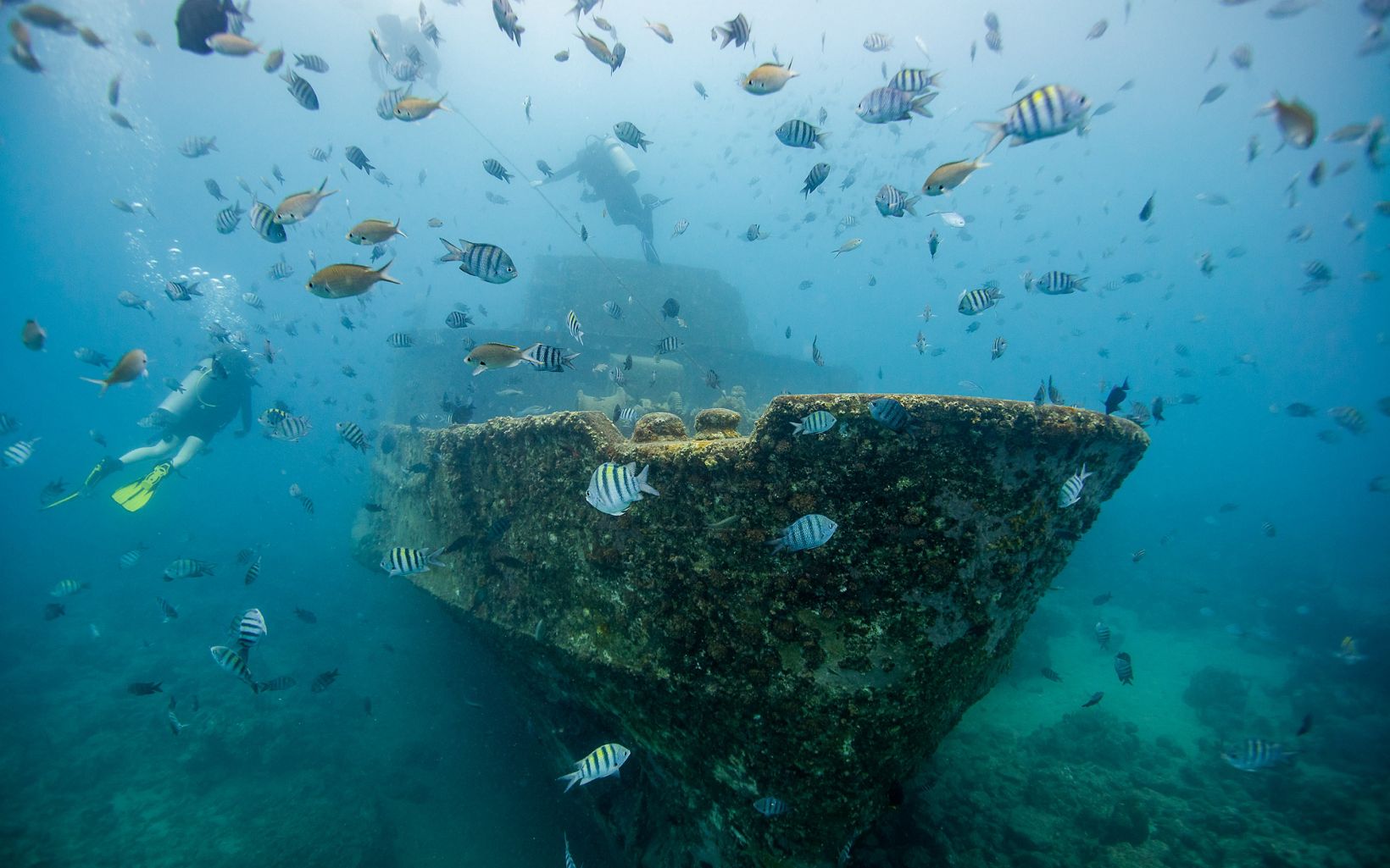 Shipwreck off the coast of the Dominican Republic.