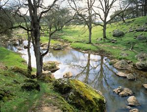 Green landscape with river running through it. 