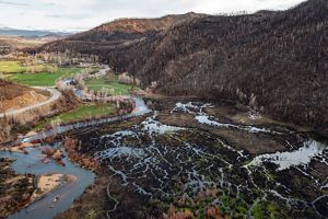 A burn scar, leaving a whole forest of dead trees and darkened soil, after a fire in Colorado.