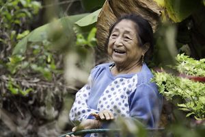 A person smiles among the trees and plants in the Maya Forest in Mexico.