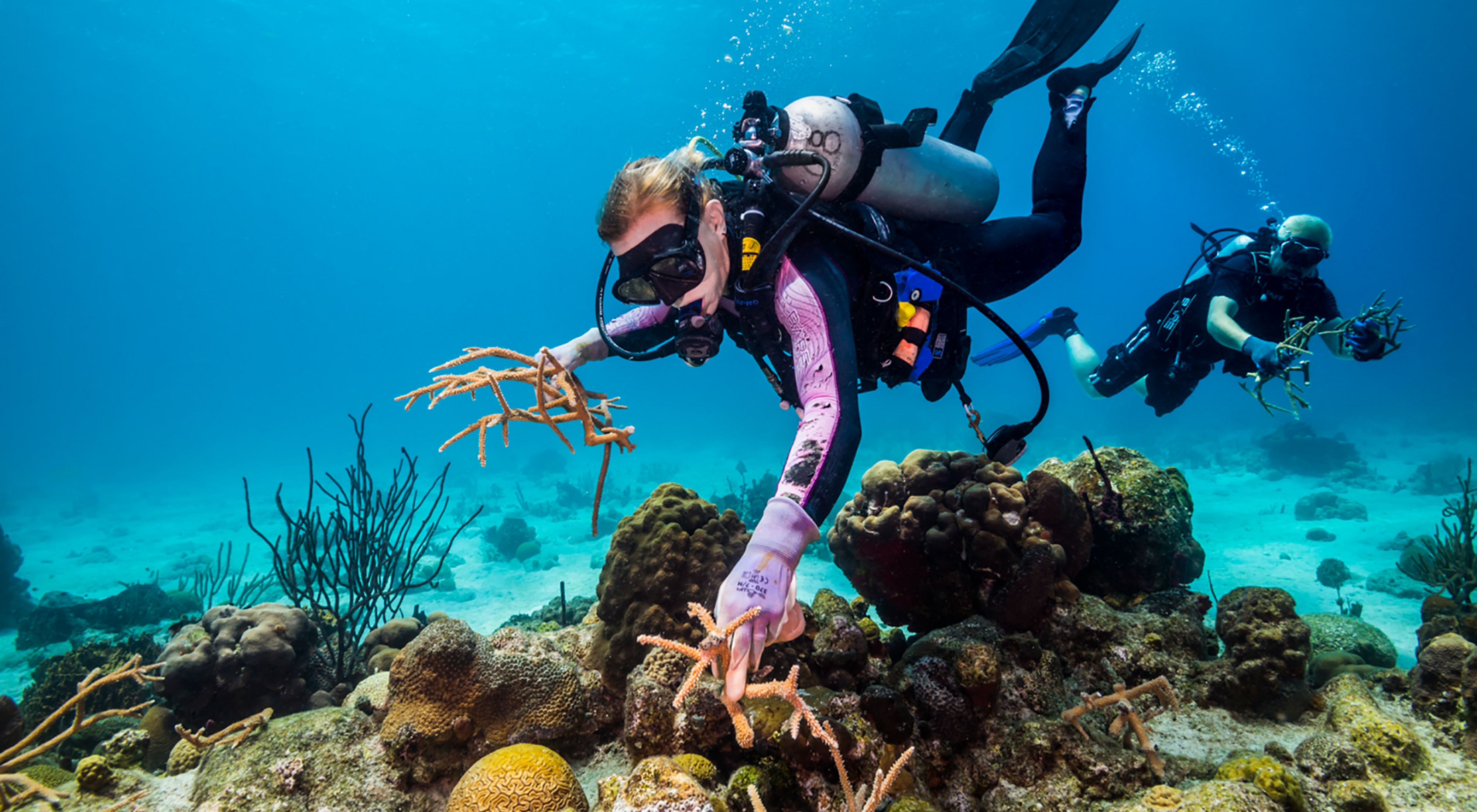 TNC coral science team works to restore damaged reef in U.S. Virgin Islands.