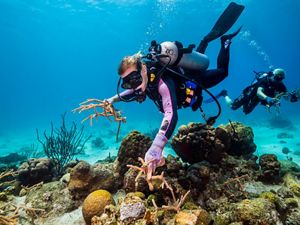 TNC coral science team works to restore damaged reef.