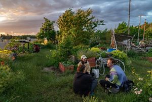 People talking on a farm.