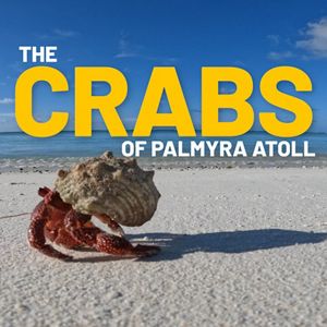 Crabs of Palmyra Atoll