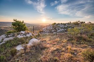 The sun sets over a rocky canyon with trees and shrubs.