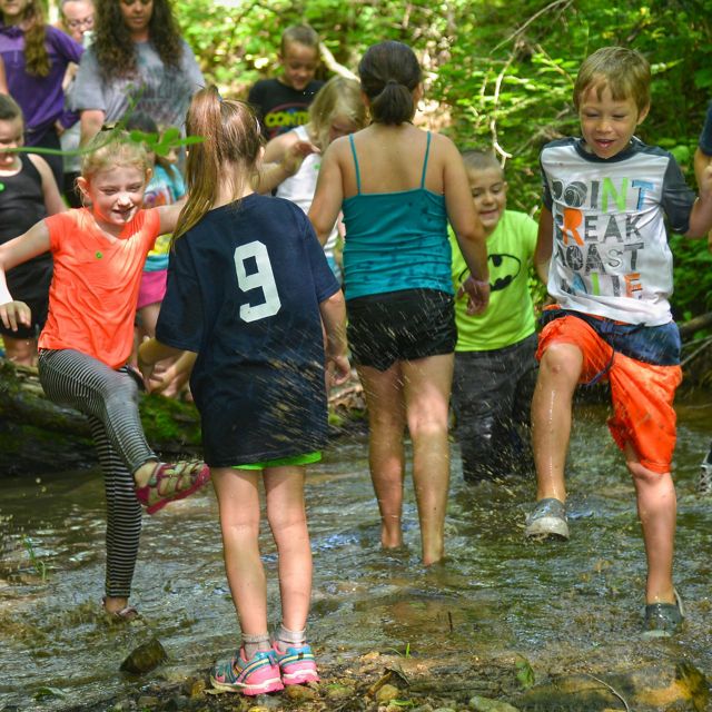 A group of children having a blast stomping around in a creek.