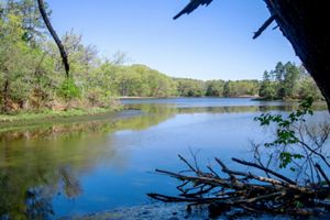 A serene river is surrounded by trees that reflect in the calm water, framed by branches in the foreground, under a clear blue sky.