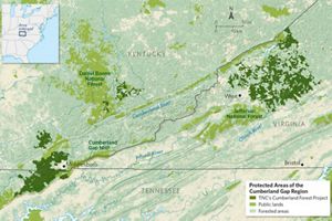 Through this innovative project, The Nature Conservancy is managing 253,000 acres of forest across Kentucky, Tennessee and Virginia.
