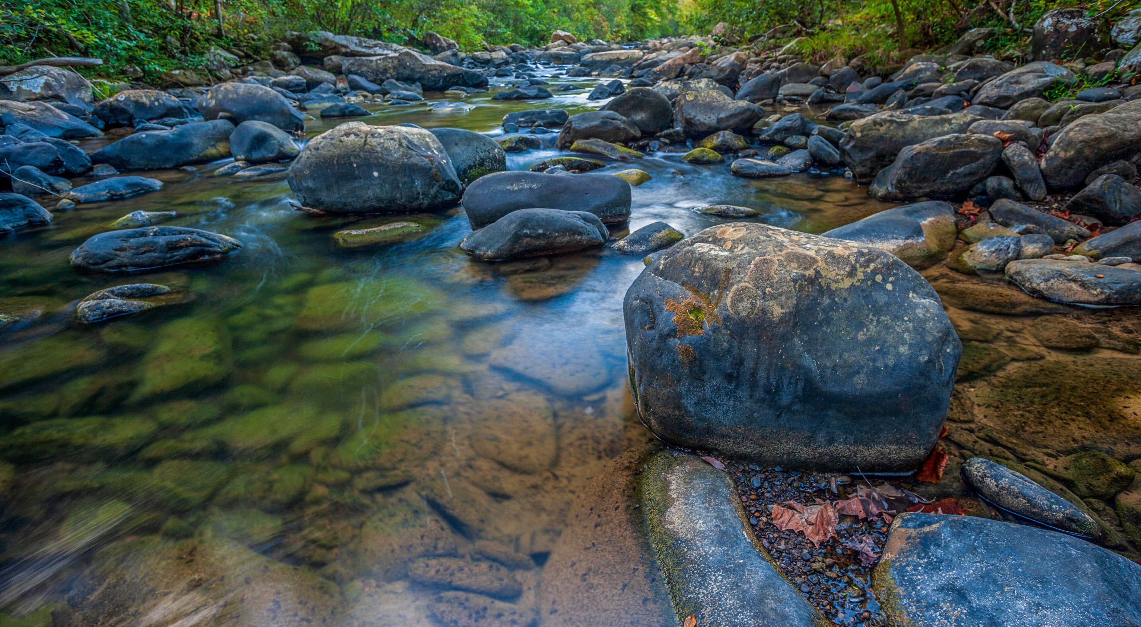 Clear water flows over a rocky creek bed.