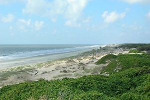 Miles of dunes stretch along a beach on the Cumberland Island coast.