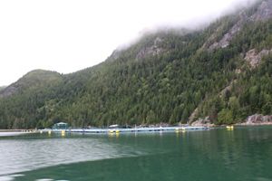 MaPP plans include strategies to expand shellfish aquaculture. 