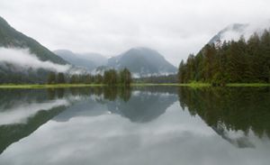 mountains and trees reflected in a river