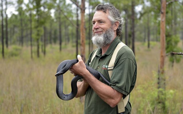 David Printiss holds an eastern indigo snake. 