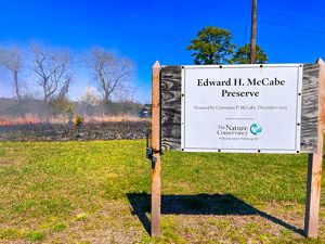 A sign featuring the words "Edward H McCabe Preserve" sits in front of a grassy field with a small fire in the background.