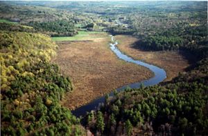 Aerial view of a river running through a forested landscape.