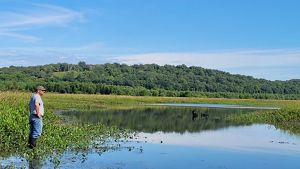 A man looks over a wetland.