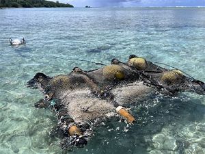 A drifting Fish Aggregation Device (dFAD) as seen on Palmyra Atoll.