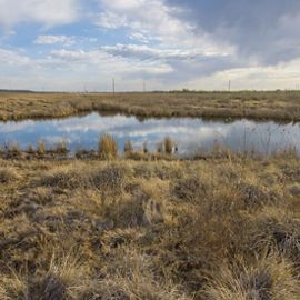A round pond in a grassy field.