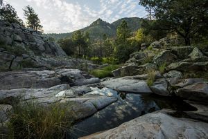 Lush green trees and grasses dot the rugged landscape of the Davis Mountains.