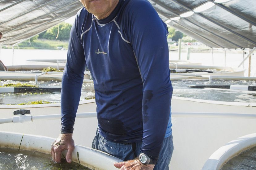 Dr. JJ Orth at TNC's eelgrass curing facility in Oyster, VA. A man stands next to a large open tank filled with water that holds eelgrass shoots. Three rows of tanks stand behind him.
