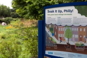 a sign in a park about stormwater