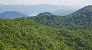 A mountain valley is covered in green trees.