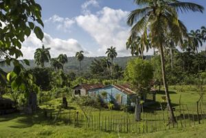 A farmhouse sits in the tropical countryside.